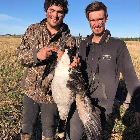 Meet your Posher, Steven - Picture 1 of 1